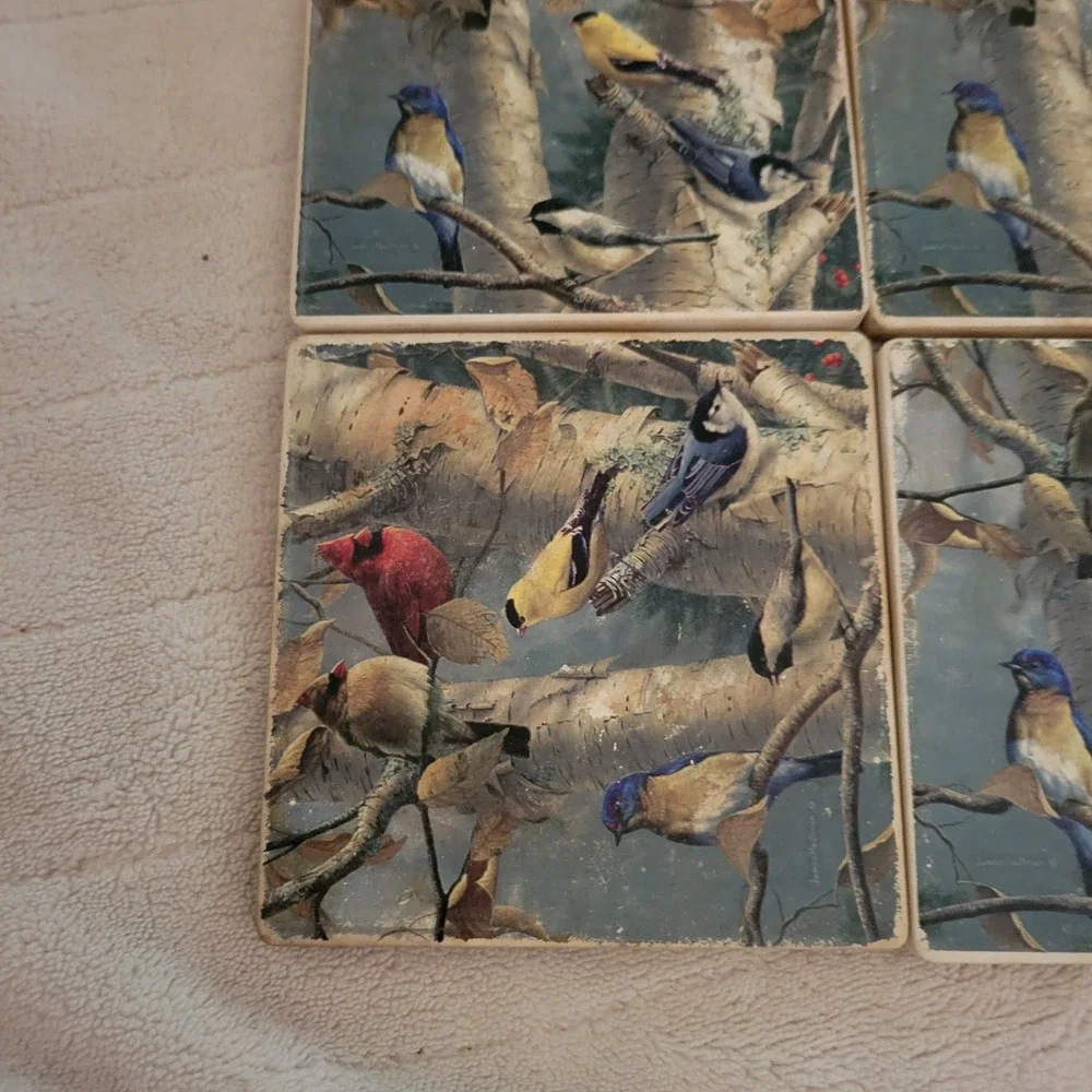 Bird Coasters Set of 4 Cork Back Cardinal Finch Birch Trees‎ Wood Holder 4x4